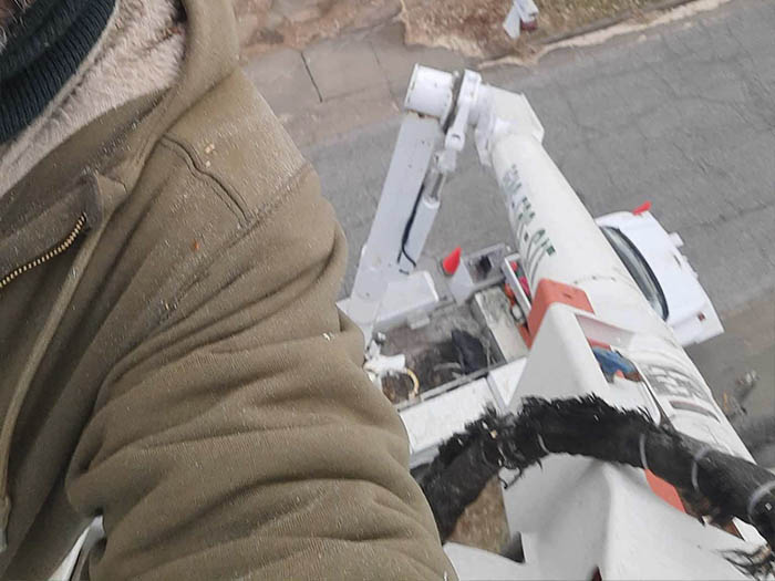 D.A.M Rivera Landscaping