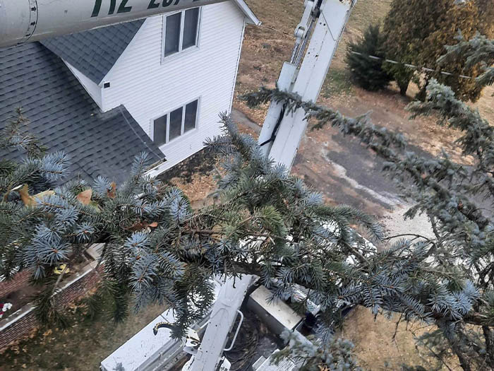 D.A.M Rivera Landscaping