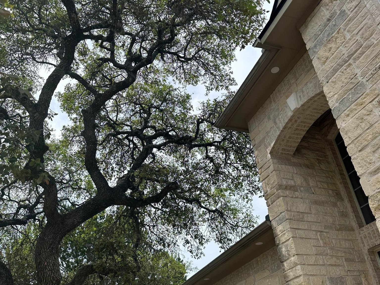 D.A.M Rivera Landscaping