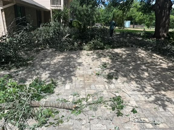 D.A.M Rivera Landscaping
