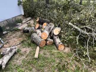 D.A.M Rivera Landscaping
