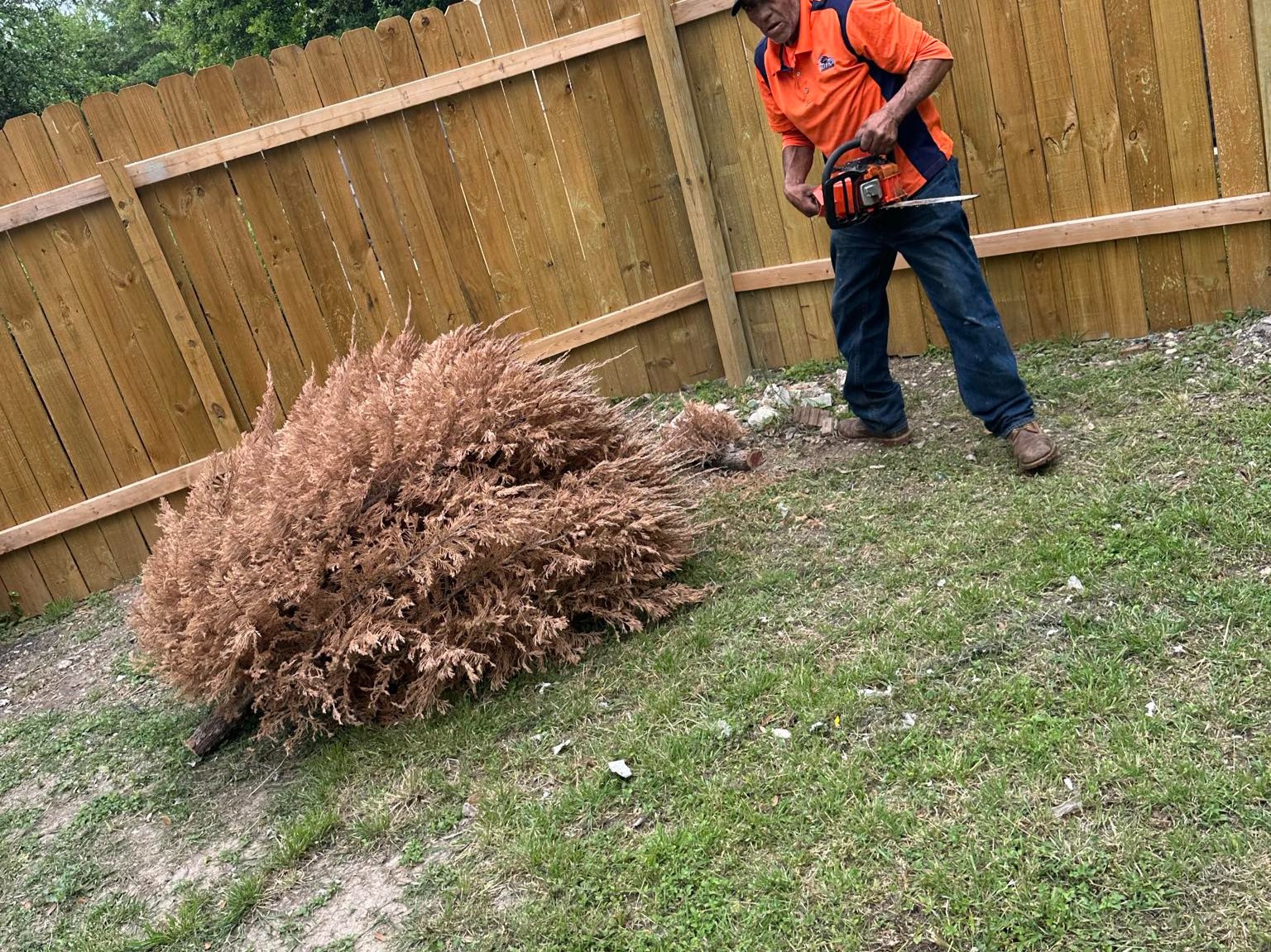 D.A.M Rivera Landscaping