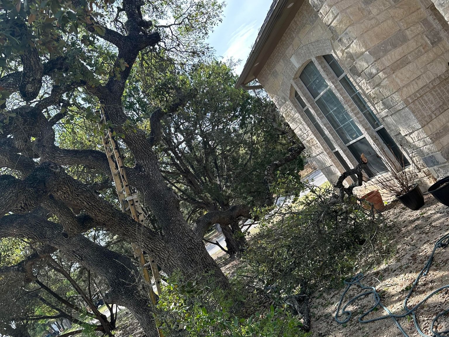 D.A.M Rivera Landscaping