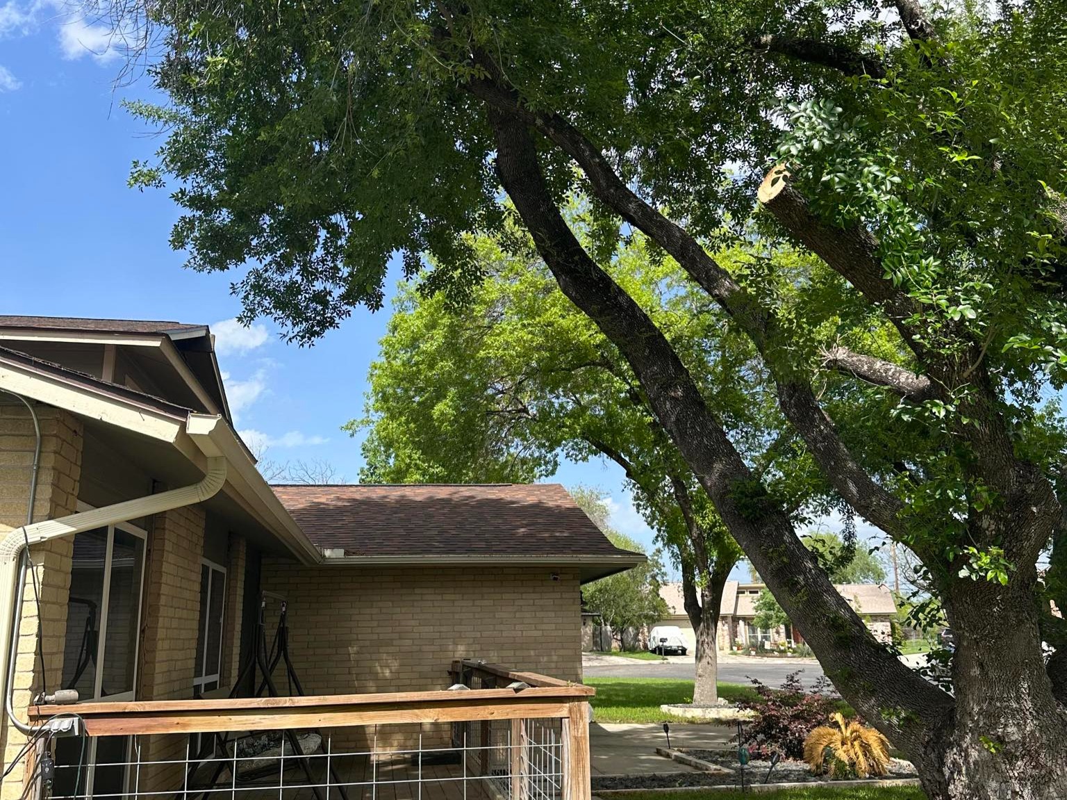 D.A.M Rivera Landscaping