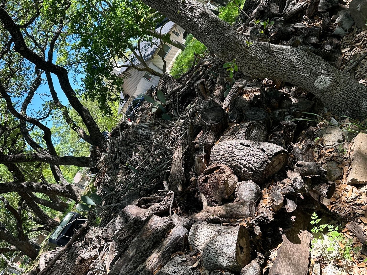 D.A.M Rivera Landscaping