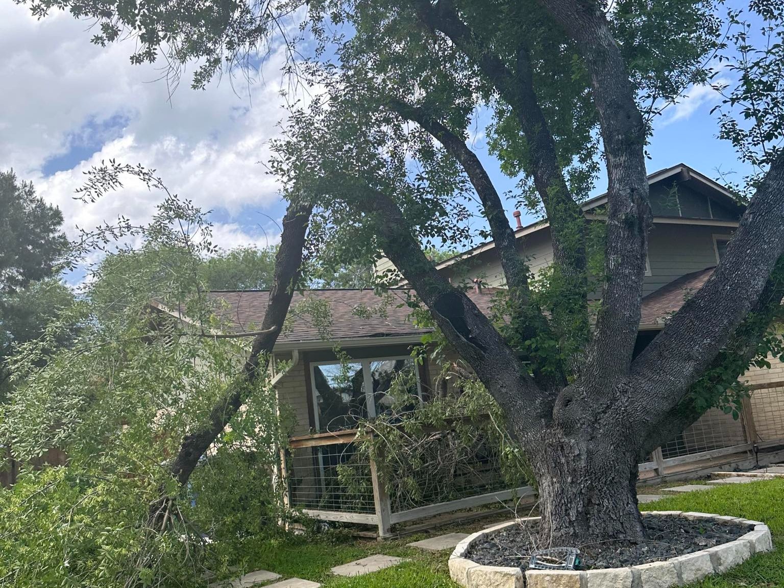 D.A.M Rivera Landscaping