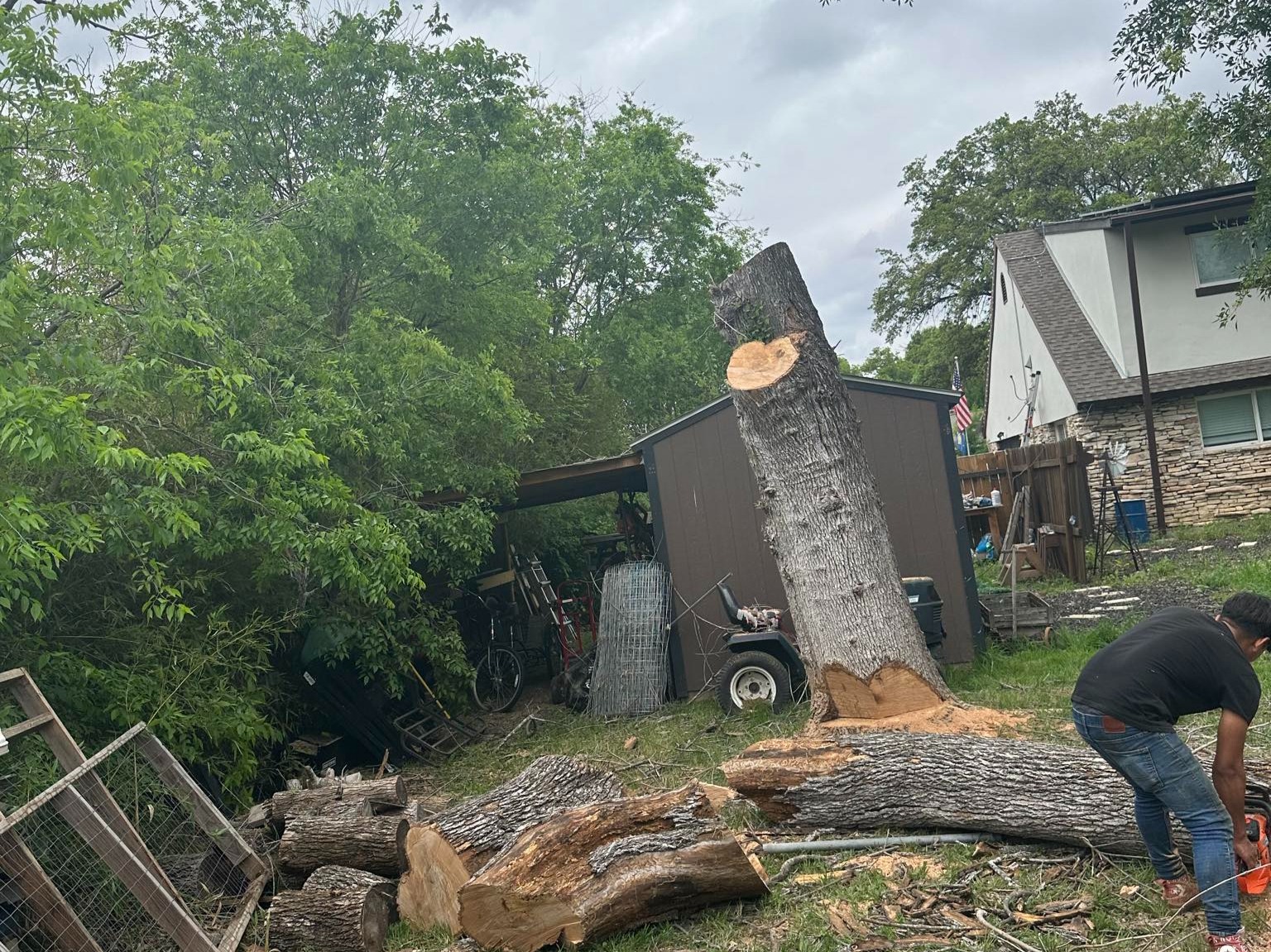 D.A.M Rivera Landscaping