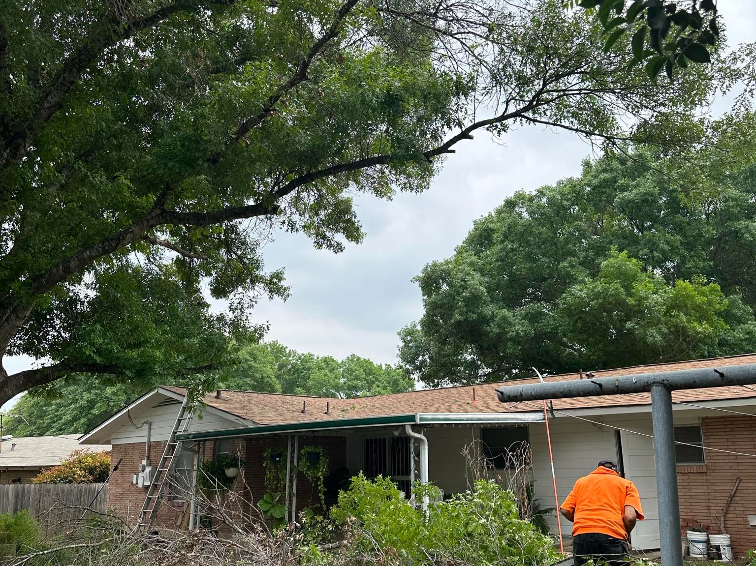 D.A.M Rivera Landscaping