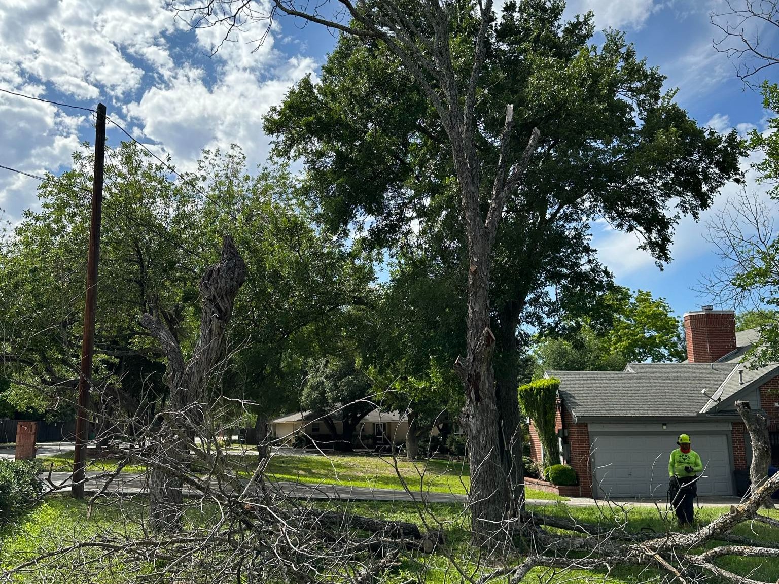 D.A.M Rivera Landscaping