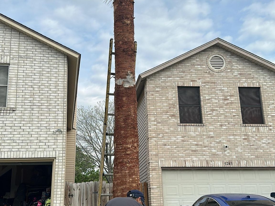 D.A.M Rivera Landscaping