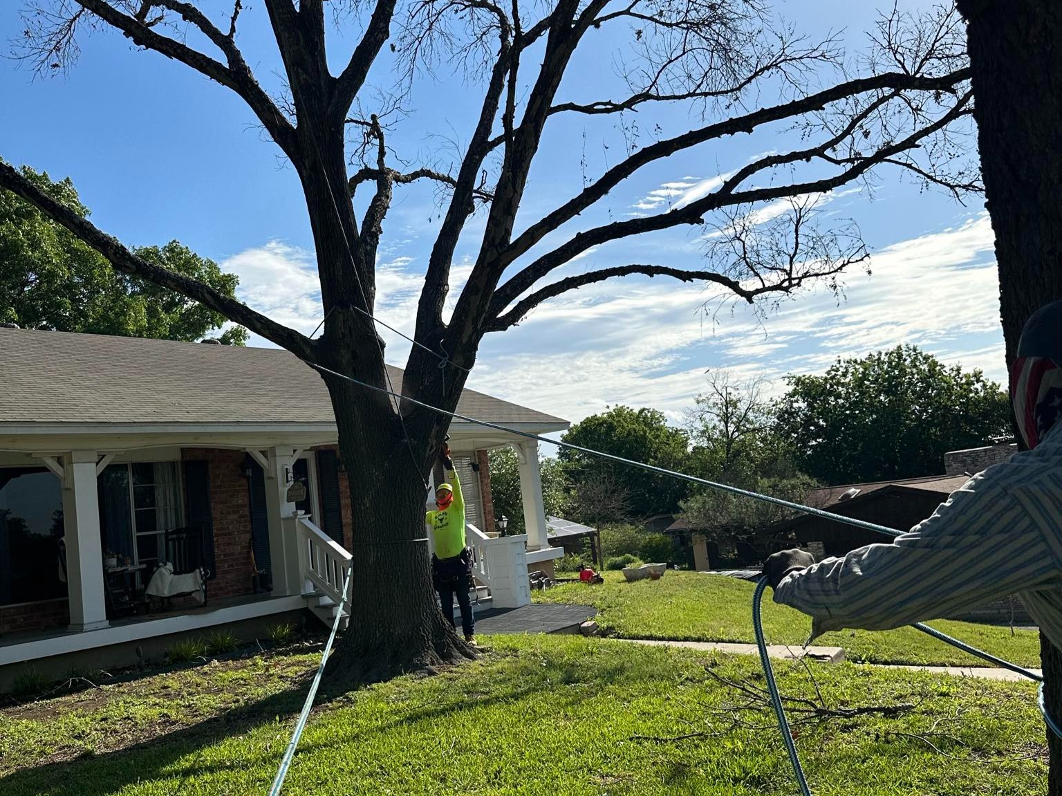 D.A.M Rivera Landscaping