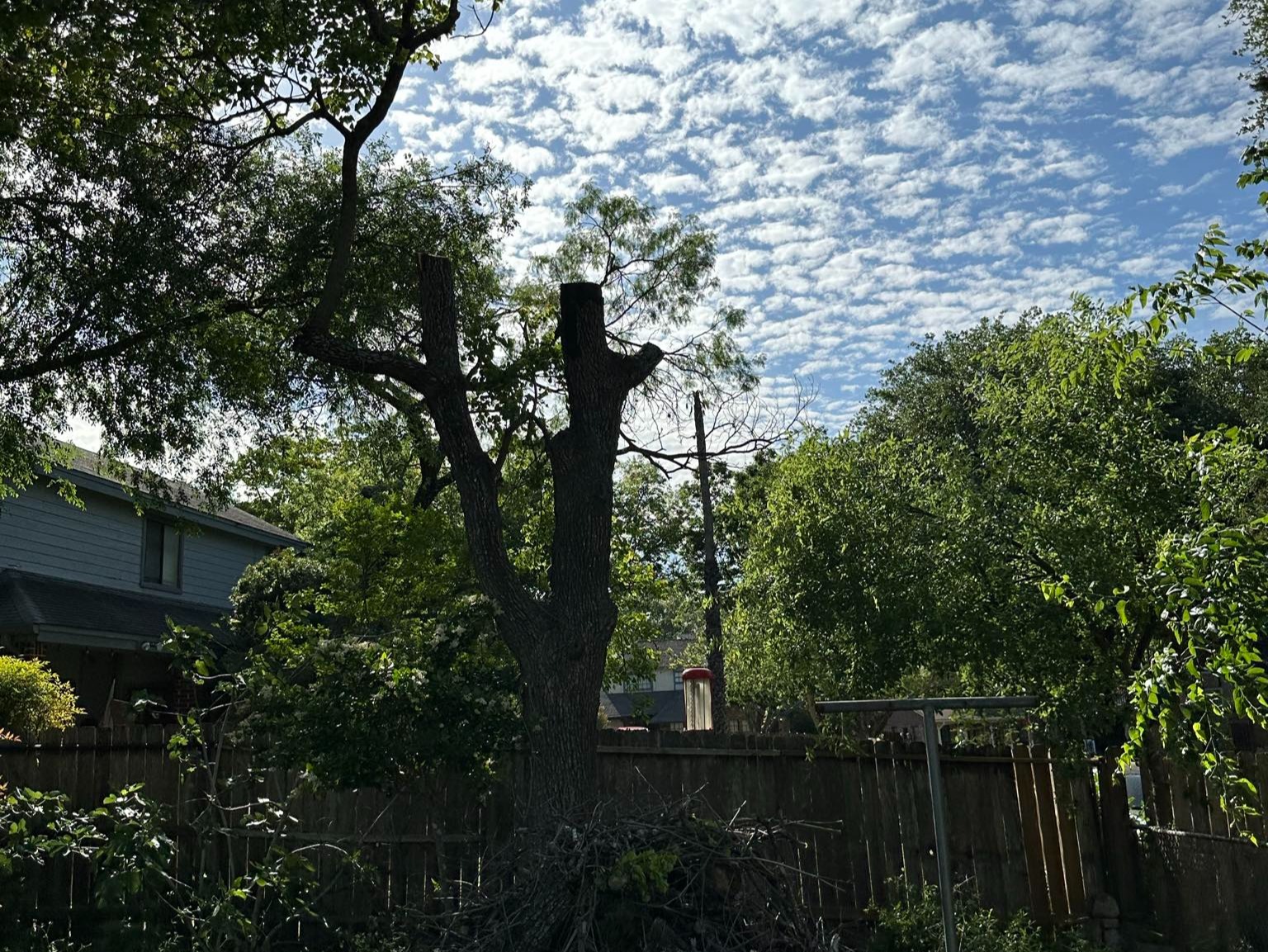 D.A.M Rivera Landscaping