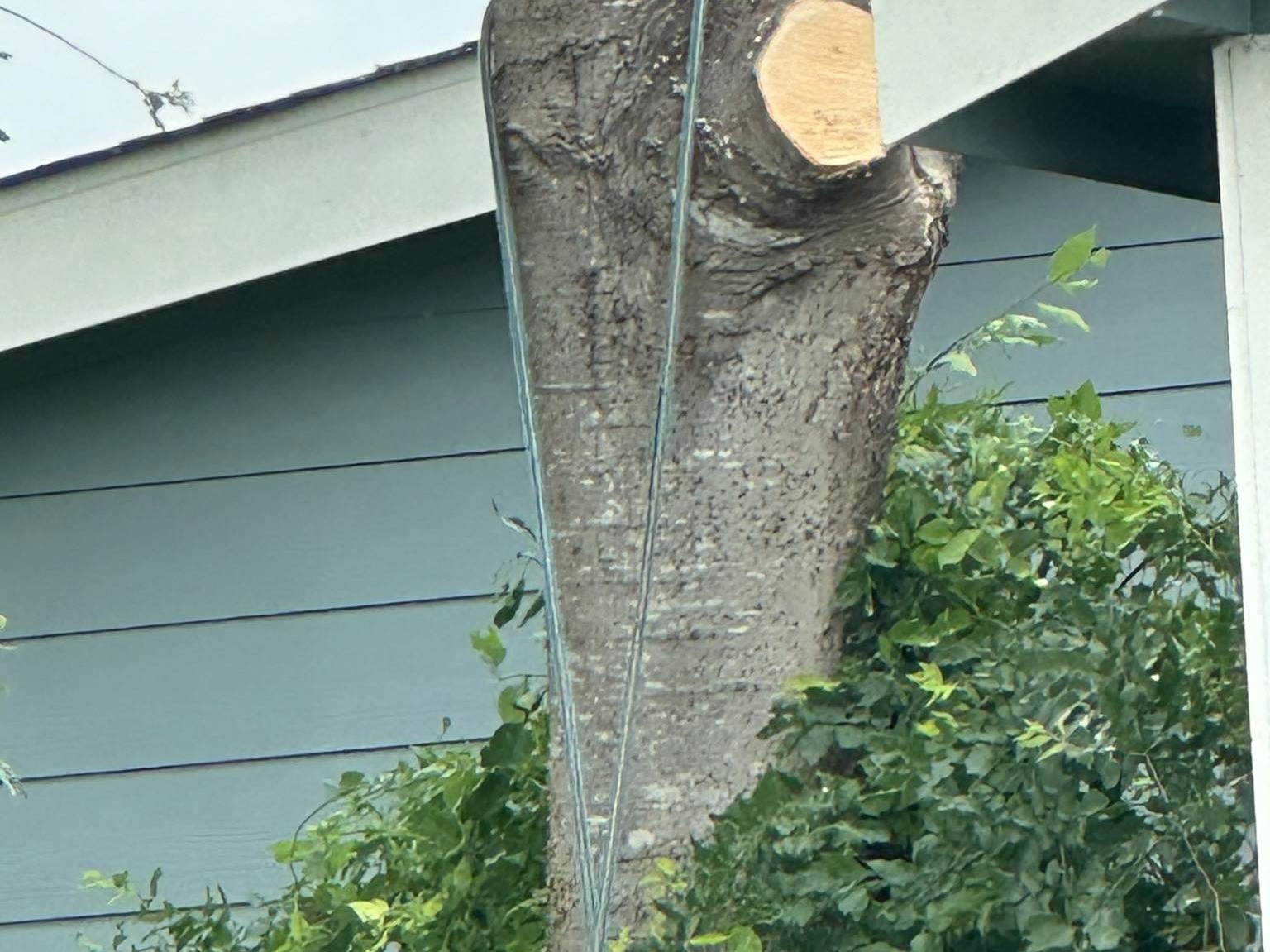 D.A.M Rivera Landscaping