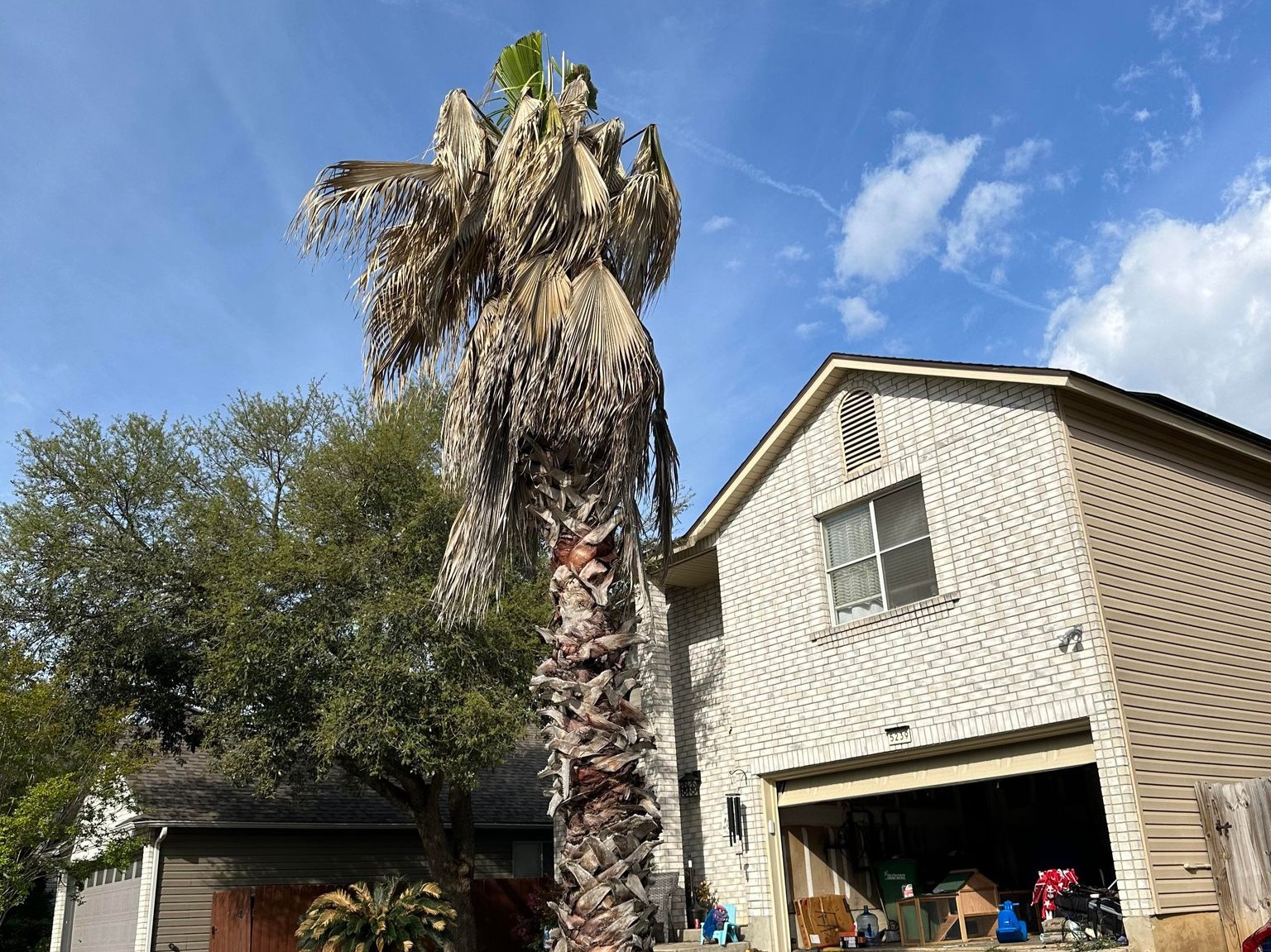 D.A.M Rivera Landscaping