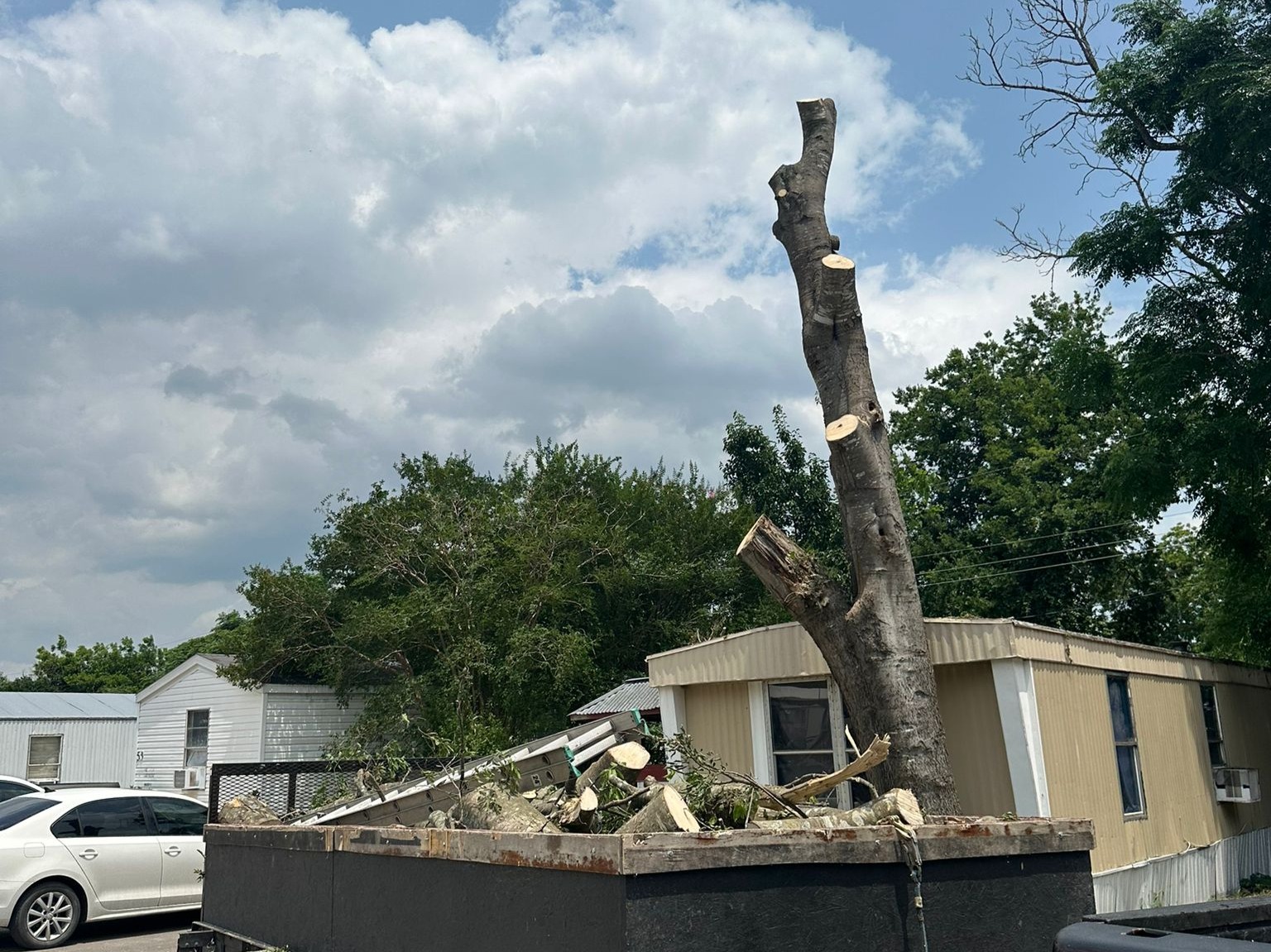 D.A.M Rivera Landscaping