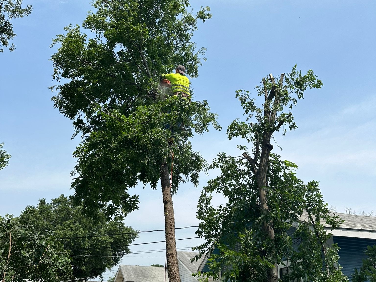 D.A.M Rivera Landscaping