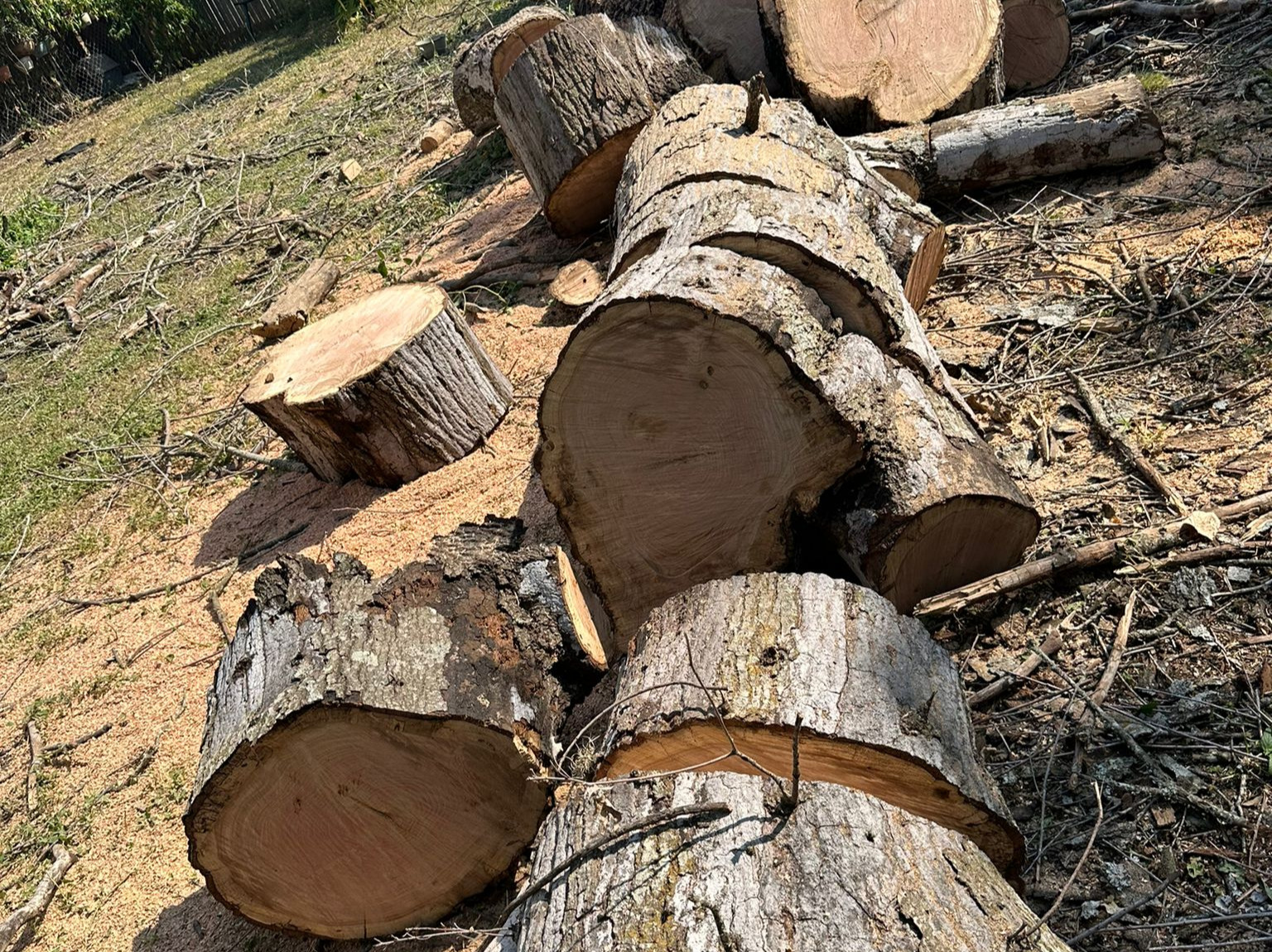 D.A.M Rivera Landscaping