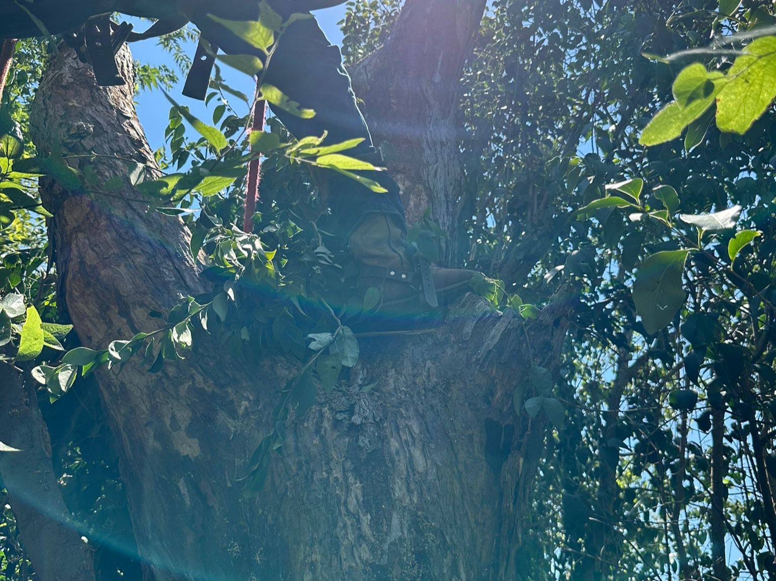 D.A.M Rivera Landscaping