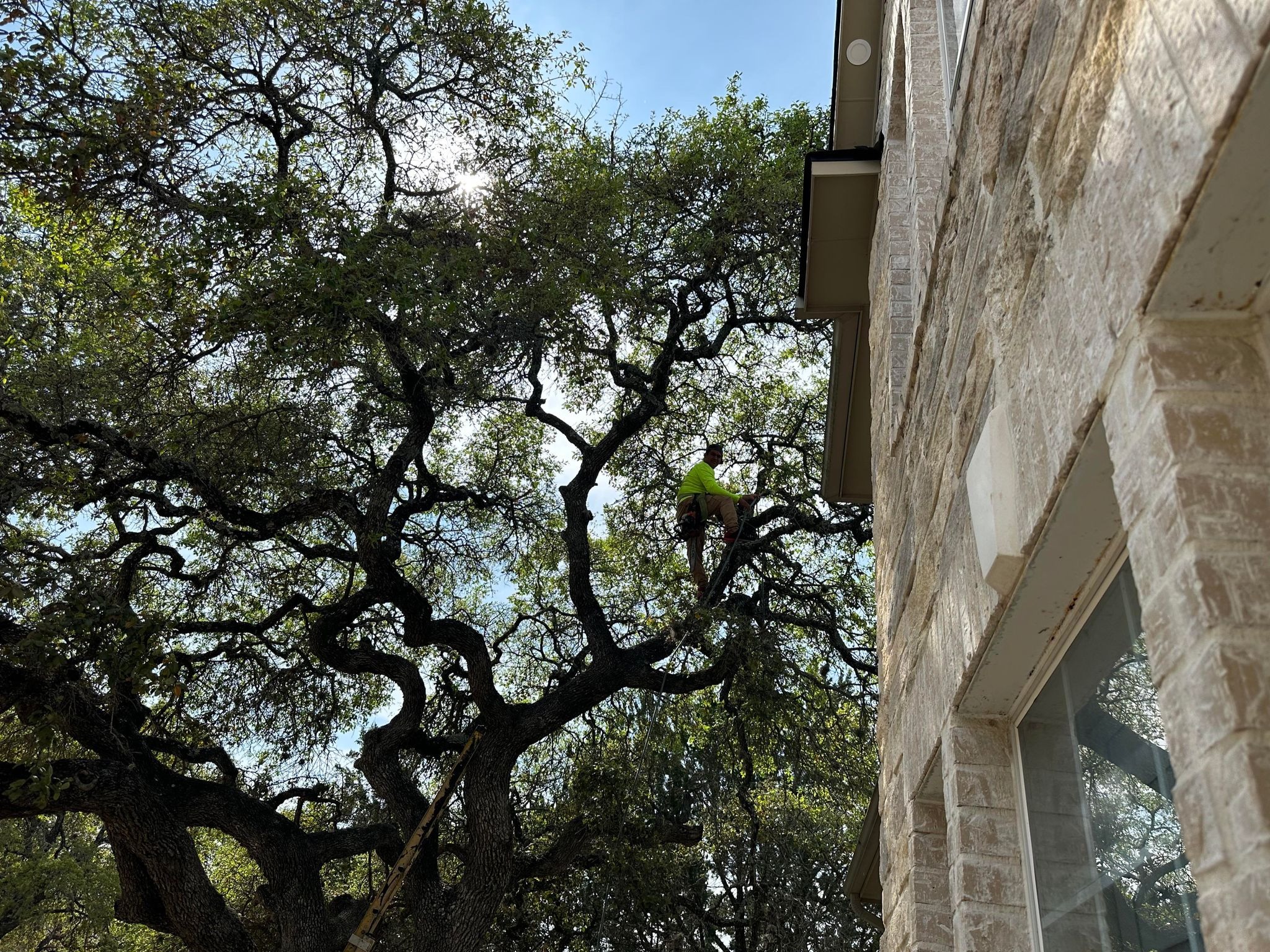 D.A.M Rivera Landscaping